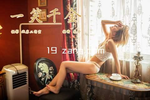 19 zang.com